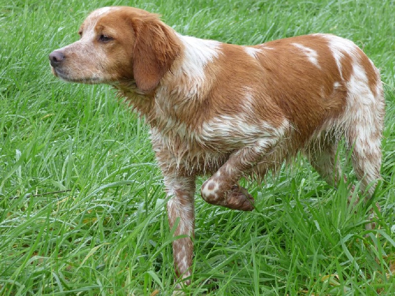 Lilou De La Terre De Marko