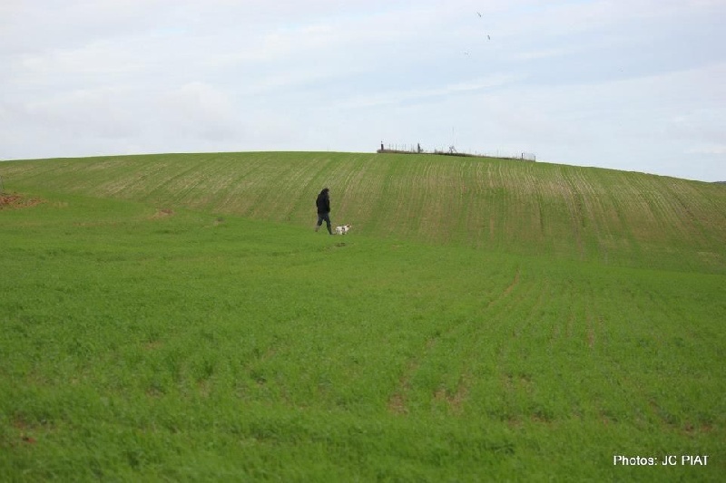 Gogueul dit Goum de la plaine des faitelles